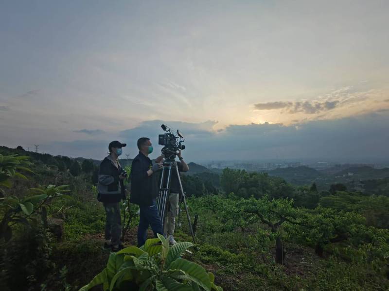 创意破圈！未央区电商产品宣传视频用故事化叙事引爆流量
