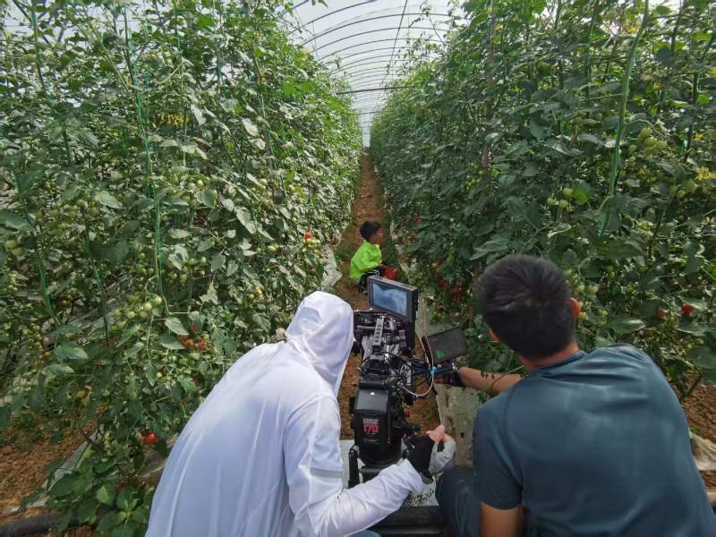 未央区产品宣传视频拍摄公司进阶指南，助力品牌抢占传播高地